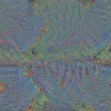 n09332890